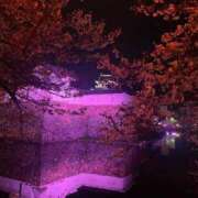 ヒメ日記 2025/04/16 14:35 投稿 はな 大阪ぽっちゃりマニア 谷九店