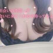 ヒメ日記 2025/04/22 14:28 投稿 はな 大阪ぽっちゃりマニア 谷九店