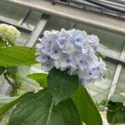 ヒメ日記 2025/07/30 15:25 投稿 はな 大阪ぽっちゃりマニア 谷九店