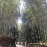 ヒメ日記 2025/08/08 09:30 投稿 はな 大阪ぽっちゃりマニア 谷九店