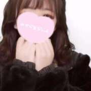 ヒメ日記 2025/04/16 17:00 投稿 なの 熊本しこたまクリニック