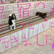 ヒメ日記 2025/06/19 02:29 投稿 あすか サンキュー町田・相模原店