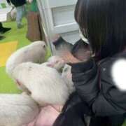 ヒメ日記 2026/01/13 17:30 投稿 りむ【FG系列】 フィーリングin厚木【FG系列】