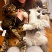 ヒメ日記 2026/02/22 12:04 投稿 有村 えりさ ライオンズクラブ