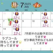 ヒメ日記 2025/07/03 14:36 投稿 にこ ちゃんこ本厚木店