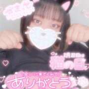 ヒメ日記 2026/02/23 04:14 投稿 にこ ちゃんこ本厚木店