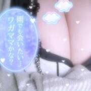 ヒメ日記 2026/03/03 20:40 投稿 にこ ちゃんこ本厚木店