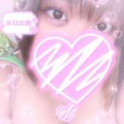 ヒメ日記 2026/03/10 11:54 投稿 にこ ちゃんこ本厚木店