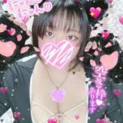 ヒメ日記 2026/03/20 13:37 投稿 にこ ちゃんこ本厚木店