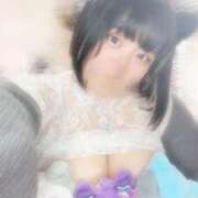 ヒメ日記 2026/04/14 16:26 投稿 にこ ちゃんこ本厚木店