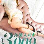 白鳥(しらとり) 🧡到着 相模原人妻城