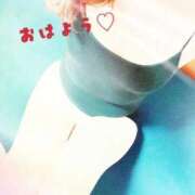 ヒメ日記 2025/09/15 09:21 投稿 のりか エレガンス(広島)