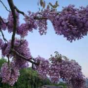 ヒメ日記 2025/05/08 09:58 投稿 はな エレガンス(広島)