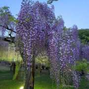 ヒメ日記 2025/05/10 10:03 投稿 はな エレガンス(広島)