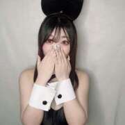 ヒメ日記 2025/03/16 10:24 投稿 むむ チューリップ福井別館