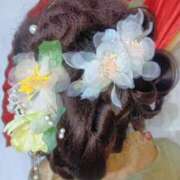 ヒメ日記 2025/12/31 19:02 投稿 ねね ミラー