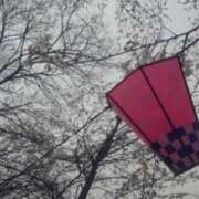 ヒメ日記 2025/03/30 18:59 投稿 りさ 奥様プリモ