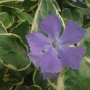 ヒメ日記 2025/05/26 14:39 投稿 りさ 奥様プリモ