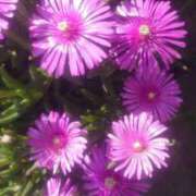 ヒメ日記 2025/06/04 12:29 投稿 りさ 奥様プリモ