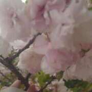 ヒメ日記 2025/06/12 13:49 投稿 りさ 奥様プリモ