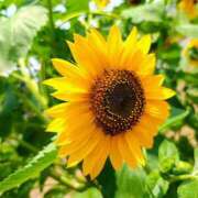 ヒメ日記 2025/07/11 14:20 投稿 りさ 奥様プリモ