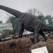 ヒメ日記 2025/07/18 13:19 投稿 りさ 奥様プリモ