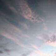 ヒメ日記 2025/07/22 13:09 投稿 りさ 奥様プリモ