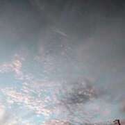 ヒメ日記 2025/07/23 11:12 投稿 りさ 奥様プリモ