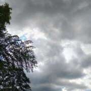 ヒメ日記 2025/07/31 18:19 投稿 りさ 奥様プリモ