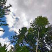 ヒメ日記 2025/08/03 14:19 投稿 りさ 奥様プリモ