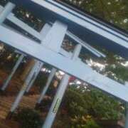 ヒメ日記 2025/08/11 17:19 投稿 りさ 奥様プリモ