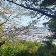 ヒメ日記 2025/08/25 12:09 投稿 りさ 奥様プリモ