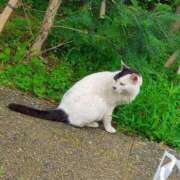 ヒメ日記 2025/08/28 14:12 投稿 りさ 奥様プリモ