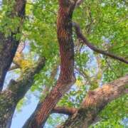 ヒメ日記 2025/09/11 10:09 投稿 りさ 奥様プリモ