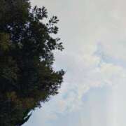 ヒメ日記 2025/09/11 12:19 投稿 りさ 奥様プリモ