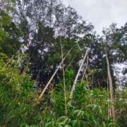 ヒメ日記 2025/09/12 19:19 投稿 りさ 奥様プリモ