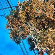 ヒメ日記 2025/09/14 20:09 投稿 りさ 奥様プリモ