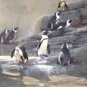 ヒメ日記 2025/09/14 21:09 投稿 りさ 奥様プリモ