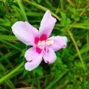 ヒメ日記 2025/09/21 12:21 投稿 りさ 奥様プリモ