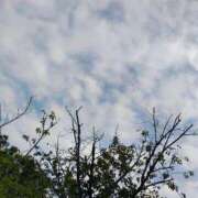 ヒメ日記 2025/09/21 13:19 投稿 りさ 奥様プリモ