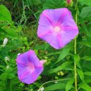 ヒメ日記 2025/09/21 14:09 投稿 りさ 奥様プリモ