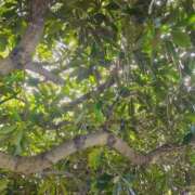 ヒメ日記 2025/09/21 16:09 投稿 りさ 奥様プリモ