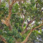 ヒメ日記 2025/09/21 18:19 投稿 りさ 奥様プリモ