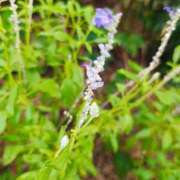 ヒメ日記 2025/09/27 20:19 投稿 りさ 奥様プリモ