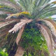 ヒメ日記 2025/09/30 15:09 投稿 りさ 奥様プリモ