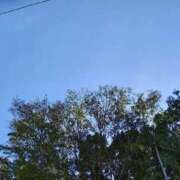 ヒメ日記 2025/10/03 13:20 投稿 りさ 奥様プリモ