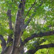 ヒメ日記 2025/10/06 11:09 投稿 りさ 奥様プリモ