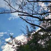 ヒメ日記 2025/10/06 14:19 投稿 りさ 奥様プリモ