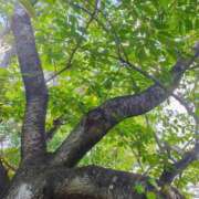 ヒメ日記 2025/10/07 11:19 投稿 りさ 奥様プリモ