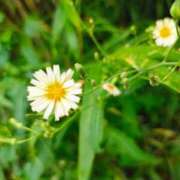 ヒメ日記 2025/10/07 15:19 投稿 りさ 奥様プリモ